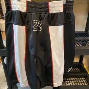 big and tall jordan jogging suits